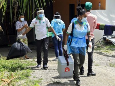 В Лаосе обнаружили три новых опасных для человека коронавируса