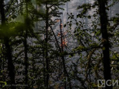 В Якутии увеличат число постоянных филиалов "Якутлесресурса" для борьбы с пожарами