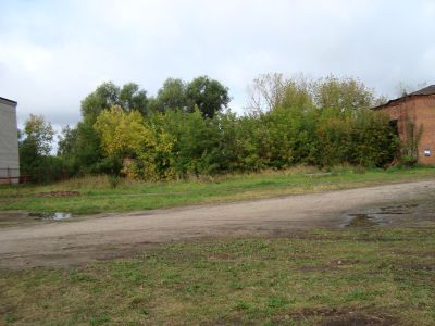 Лавка торговая Мешалина