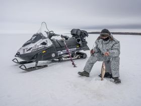 Снегоход РУССКАЯ МЕХАНИКА Tayga Patrul 800 SWT