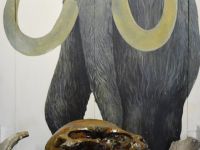 Ленинск-Кузнецкий краеведческий музей