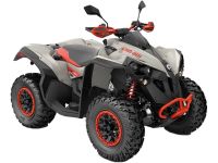 Квадроцикл BRP Can-Am Renegade X XC T 1000