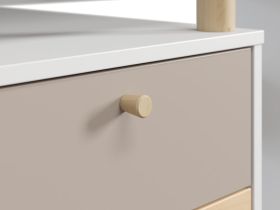 Письменный стол Дикинс 120x60 Береза/Латте
