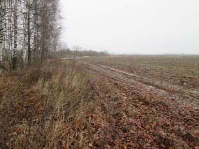 Памятное место, где в октябре 1941 г. гитлеровцы расстреливали мирное население г. Рудни, с. Любавичи и других населенных пунктов района