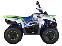 Квадроцикл ROCKOT Hammer 200 Premium