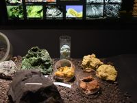 Культурно-просветительский комплекс «Музей вулканов на Камчатке «Вулканариум»