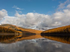 Рыбалка на трофейного тайменя на реке Гонам