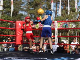 Мастер-классы и бои провели в Международный день бокса в Якутске