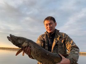 Рыбалка на Лене в районе устья реки Вилюй.  Трофейная рыбалка (щука, ленский осетр) с проживанием в турбазе.