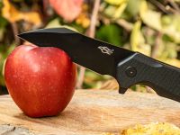 Нож складной Firebird by Ganzo FH31B-BK, сталь D2, рукоять G10, черный