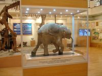 Ямало-Ненецкий окружной музейно-выставочный комплекс им. И. С. Шемановского