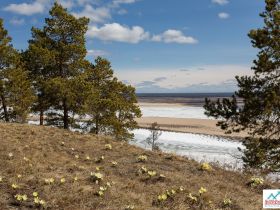 Весеннее пробуждение. Пешая экскурсия по Табагинскому Мысу