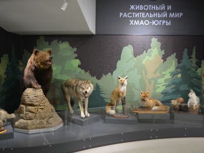 Музей истории г. Урая