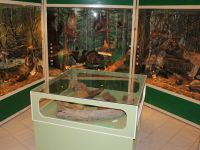 Историко-краеведческий музей г. Усть-Катав