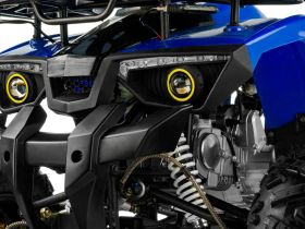 Квадроцикл TIGER Extra 175cc (2024)