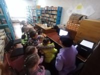 Библиотека п. Сигнального