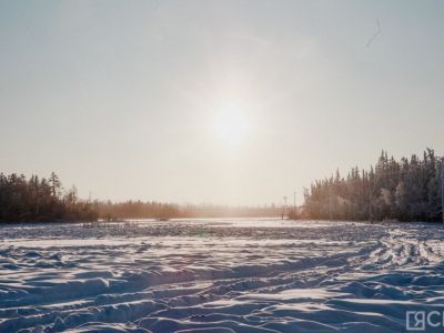 Паразиты, голод или пожары: ученые выясняют причины аномального поведения медведей в Усть-Майском районе Якутии