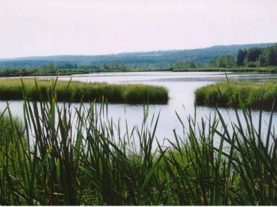 Озеро Перово