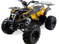 Квадроцикл MOTAX ATV Grizlik-8 125