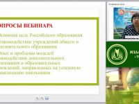 Международный вебинар "Возможности школы и учреждений дополнительного образования детей в реализации новых образовательных целей"