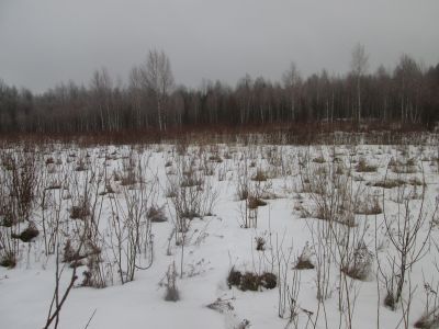 Родина Героя Советского Союза В.Р. Николаева, погибшего в январе 1945 г.