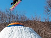 Сноуборд ROME SDS ARTIFACT 22/23