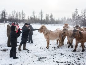 Арктическая автоэкспедиция "Индигирка". Якутск – Оймякон – Чокурдах – Русское Устье