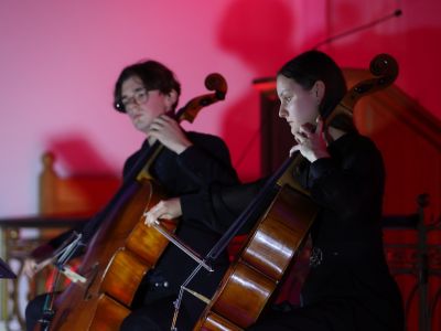 Оркестр «Immensa Musica»