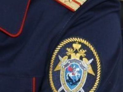 Следователи проверяют информацию о нападении своры собак на мужчину в Автодорожном округе города Якутска