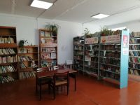 Новониколаевская сельская библиотека – филиал № 28