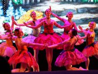 Дворец культуры «Балашиха»