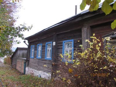 Жилой дом огородника Скобенникова