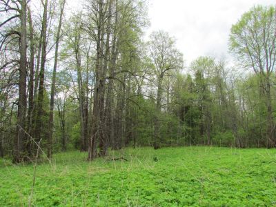 Усадьба Ивановское. Здесь жил декабрист М.М. Корсаков