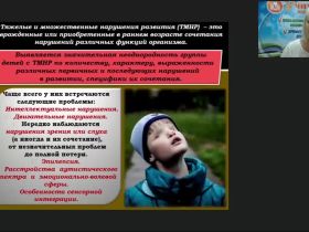 Международный вебинар "Формирование доступной среды для образования детей с тяжелыми и множественными нарушениями"