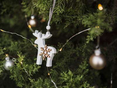 Билеты на Тайна старого дома. Часть 2 (Центр театрального мастерства) / Театр | Афиша | ИнфоТаймс