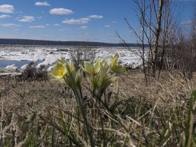 Ледоход на Еланке: Весеннее пробуждение природы и незабываемые виды