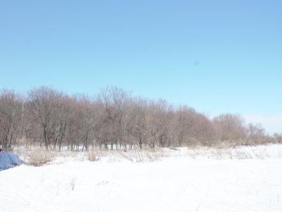 Приусадебный парк