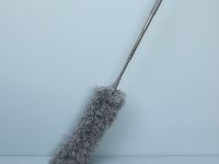 Метелка Paringianu