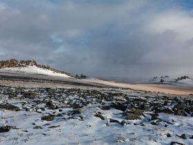 Арктическая снегоходная экспедиция «К Каменным Людям Сундуруна через кряж Суор Уйата». Сопутствующая рыбалка на трофейного арктического гольца