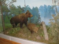 Чувашский национальный музей