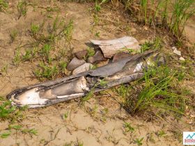 "Золотые Скалы реки Синяя". Синские, Ленские Столбы