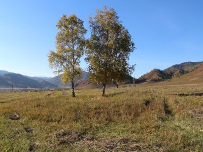 Братская могила