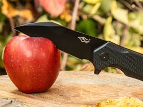 Нож складной Firebird by Ganzo FH31B-BK, сталь D2, рукоять G10, черный