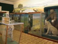 Сердобский краеведческий музей