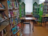 Новополянская поселенческая библиотека