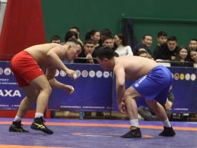 Выявлены сильнейшие хапсагаисты турнира братьев Ноговицыных в Якутске