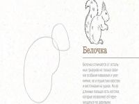 Книга "365 дней рисования. Пошаговые техники для начинающих художников"