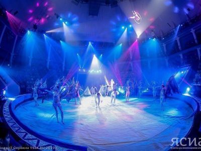 Эквилибристика, клоунада, дрессировка. Что представили конкурсанты циркового фестиваля «Мамонтенок»