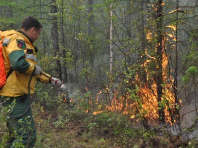 8 августа: продолжается тушение лесного пожара в 26 км от Мирного