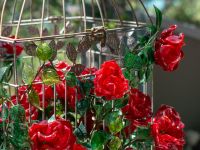 Стеклянный парк